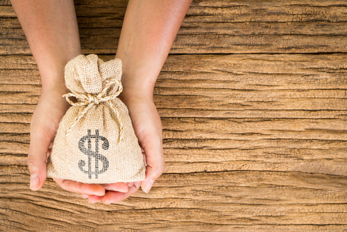 Image of a money in a bag for insurance